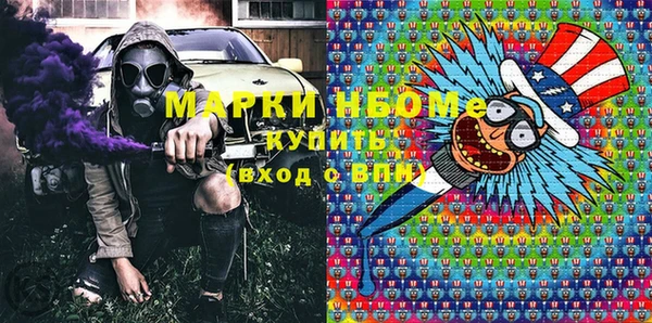 сатива Бородино