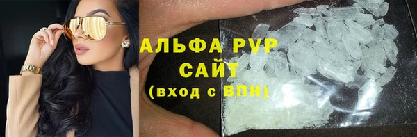 сатива Бородино