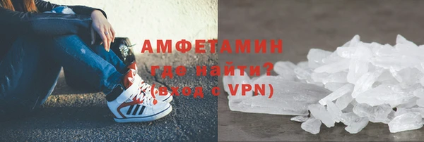 сатива Бородино