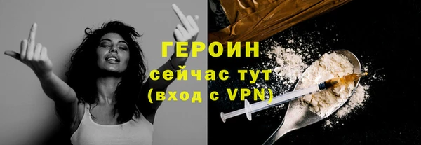 сатива Бородино