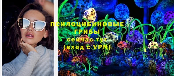 молекула духа Бронницы