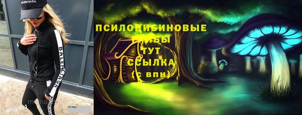 молекула духа Бронницы