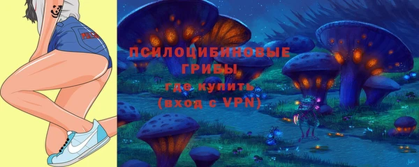 сатива Бородино