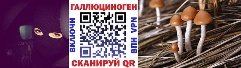 Псилоцибиновые грибы ЛСД купить закладку Оренбург